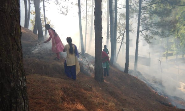 Protecting the Forests of Uttarakhand from Forest Fires