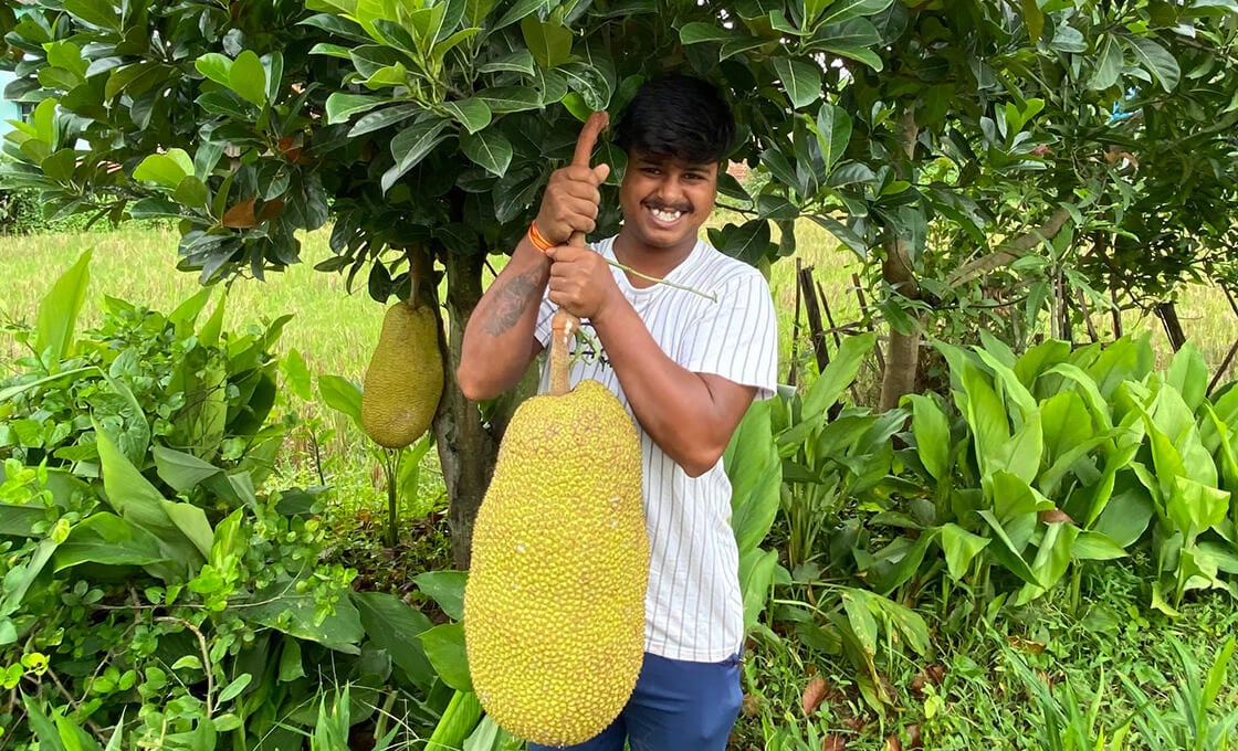 Donate a Tree to a Farmer in India