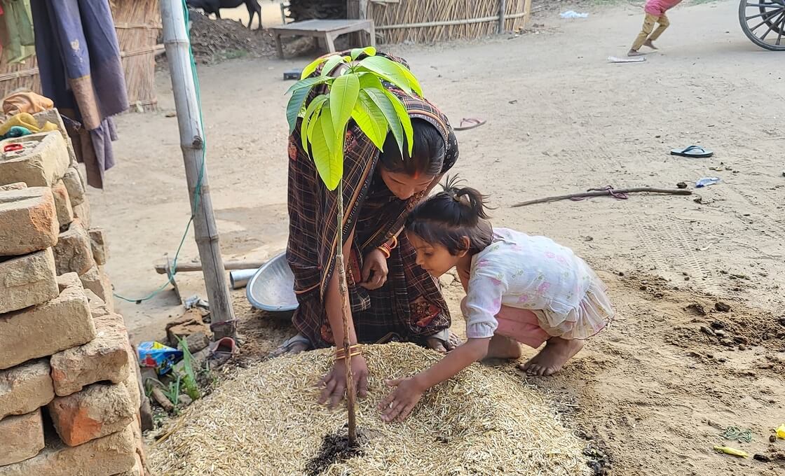 Donate a Tree to a Farmer in India