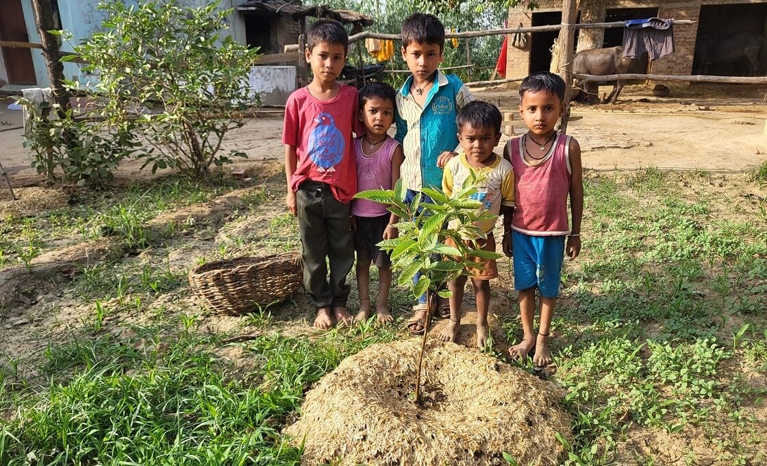 Donate a Tree to a Farmer in India
