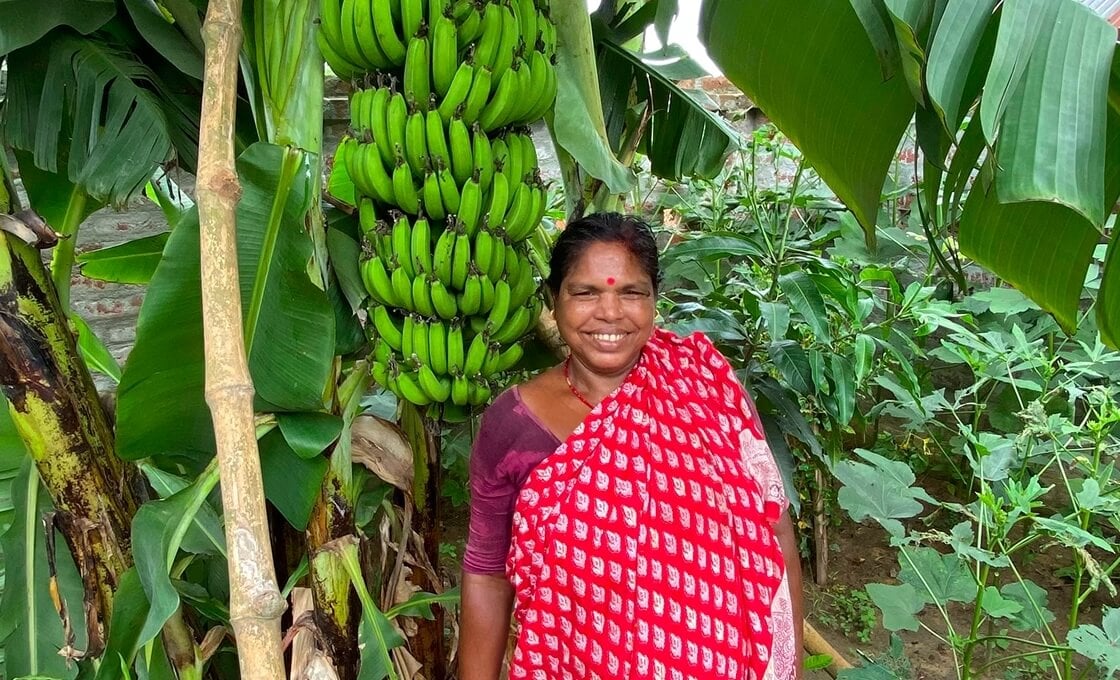 Donate a Tree to a Farmer in India